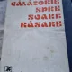 Calatorie spre soare rasare - Marcel Petrisor