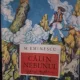 Calin Nebunul - Mihai Eminescu