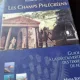 Les Champs Phlegreens, guide à la découverte des terres de feu  - Massimo DAntonio