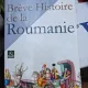 Breve histoire de la Roumanie - Ion Bulei