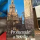 Jose Roda Pena - Promenade a Seville