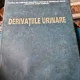 I. Sinescu - Derivatiile Urinare