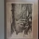 T. Vianu - Gh. Petrascu - Colectia Galeria Artistilor Romani