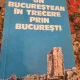 Iulian Neacsu - Un Bucurestean in trecere prin Bucuresti