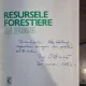 Ilie Dinca - Resursele Forestiere ale Europei (cu dedicatie pentru Petre Ghelmez)