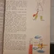 Fat-Frumos cand era mic - Octav Pancu-Iasi (ilustratii de Iurie Darie)