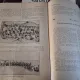 Revista Educatia Fizica anul IX numarul 7 - iulie 1931