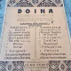 Gavrii Galinescu - Doina