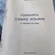 Formarea Campiei Romane, o hipoteza de lucru - Nicolae M. Popp