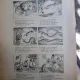 Revista Copiilor - An IX Nr. 5 - Mai 1947
