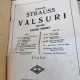 Strauss pentru tineret