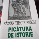 Picatura de istorie - Razvan Theodorescu