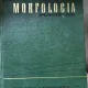 Morfologia plantelor - Ciobanu I
