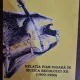 Relatia pian-vioara in muzica secolului XX - Liliana Iacobescu