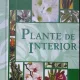 Plante de interior - Dorte Nissen