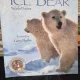 Ice Bear - Nicola davies