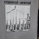 Copacul-animal - Gellu Naum