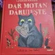 Dar motan daruieste - Cristina Andone