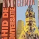 Ghid de conversatie Roman German