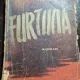 Furtuna - Ilya Ehrenburg