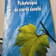Psihoterapia de scurta durata - Irina Holdevici