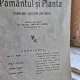 Revista Pamantul si Planta nr.2 si 3/1933 publicatie agricola periodica