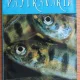 Patravaria - Kurt Igler