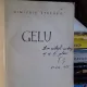 GELU - DIMITRIE STELARU