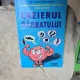 Creierul bărbatului - Dr. Louann Brizendine