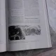 TRANSVAGINAL SONOGRAPHY - THOMAS SAUTTER