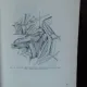 INDREPTAR PRACTIC DE CHIRURGIE GINECOLOGICA - OCTAV RUSU