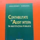 Contabilitate și Audit Intern în Instituțiile Publice - Aurelia Ștefănescu, Eugeniu Țurlea