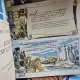 Soimii Moldovei - Radu Theodoru