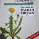 Alimentația sănătoasă cu plante - Maria Treben