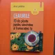 Ceaiurile - Anne Lavédrine