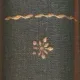 Flăcări - Radu Tudoran