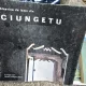 Biserica de lemn din Ciungetu