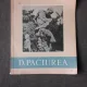 D. PACIUREA - MAESTRII ARTEI ROMANESTI