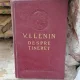 Despre tineret - V.I. Lenin