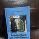 Rostul și rostuirile unei școli de literatură - Livia Ciupercă