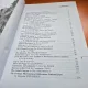 Revista Plural. The Romanian Pilgrim