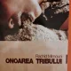 Onoarea Tribului - Rachid Mimouni
