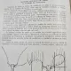 Viticultura - T. Martin