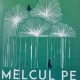 Melcul pe povarnis - Arkadi si Boris Strugatki
