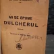 Mi se spune dulgherul - Upton Sinclair