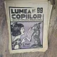 Lumea copiilor anul II nt 99