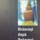 Brancusi dupa Brancusi - Ioan Viorel Badica