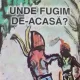 Unde fugim de-acasa? - Marin Sorescu