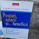 Posturi, salarii si beneficii - Viorica Ana Chisu