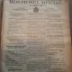 Monitorul Oficial al Romaniei - Nr. 66 - Martie-Aprilie 1880